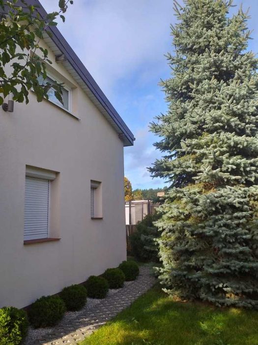 Całoroczna, klimatyczna działka ROD - Widok 2