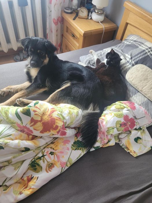 Czekam na dom - Kira