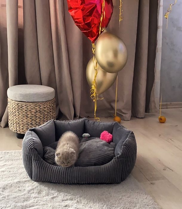 Лежак/спальне місце