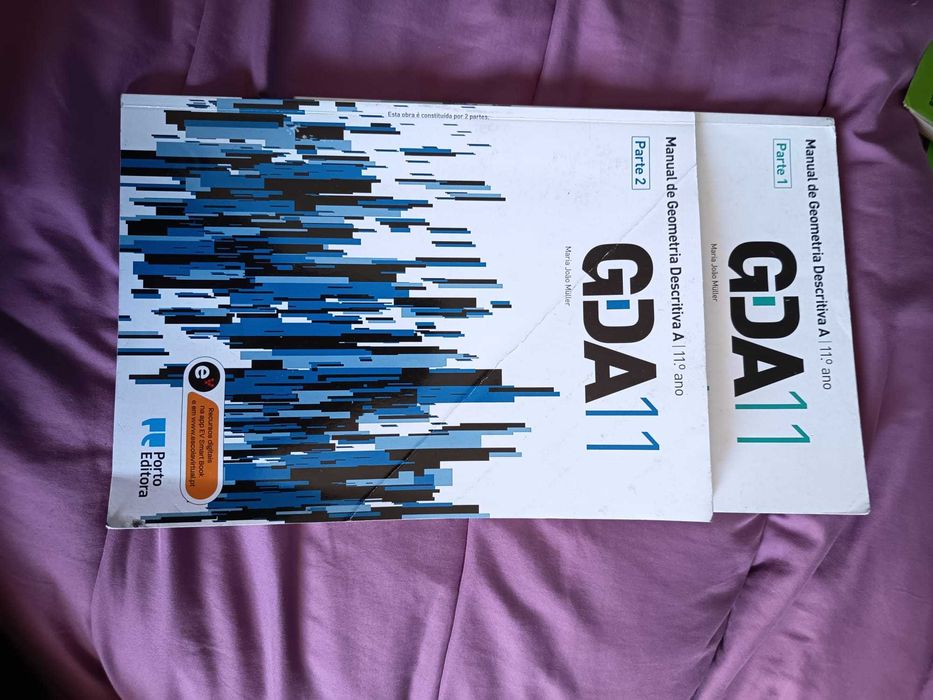 Livros Geometria Descritiva 10 e 11