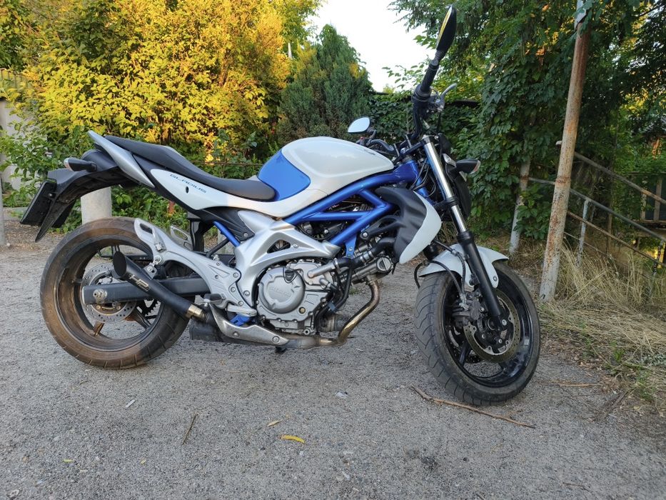 Suzuki Gladius 650