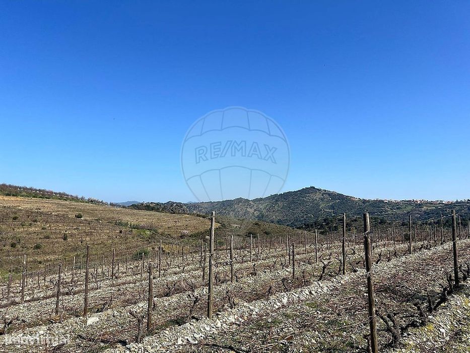 Terreno  para venda — Custóias, Guarda