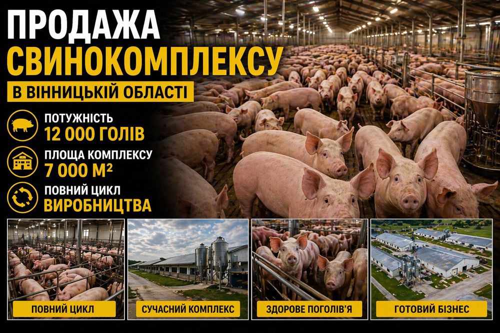 Продам свиноферму
