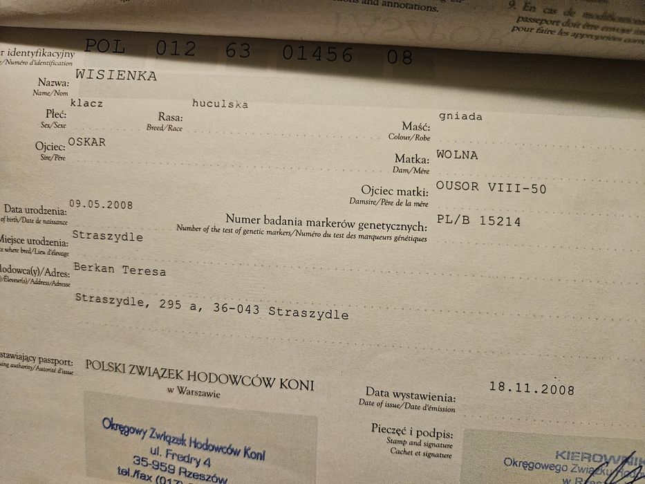 Sprzedam klacz huculską