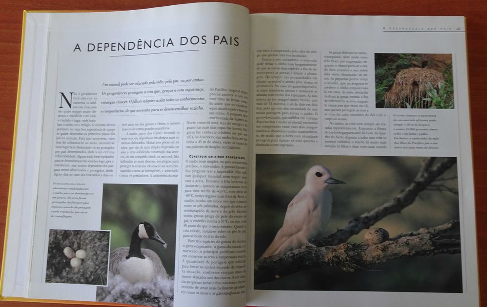 A Vida Secreta dos Animais