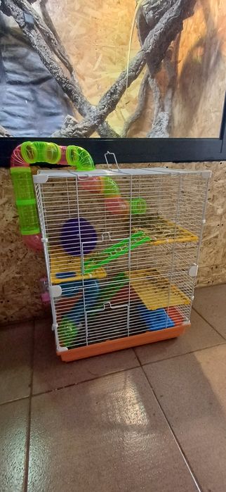 Gaiola para roedores