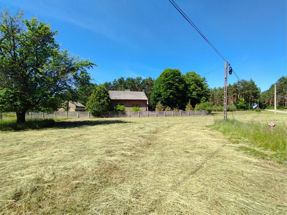 Zdjęcie 6
