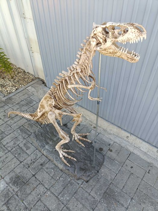 Escoleto de dinossauro