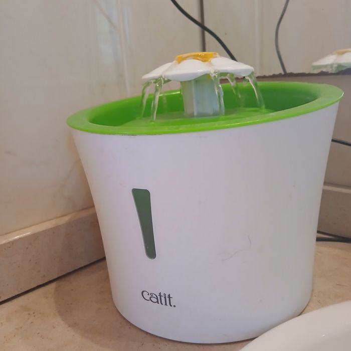 Fonte de água para gatos