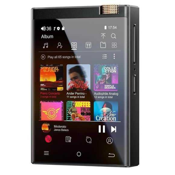 OLISKY M308 64GB, Плеєр Hi-Fi, металевий корпус