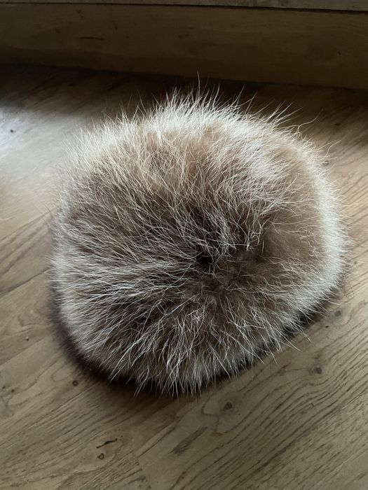 Czapka futro z lisa futro naturalne