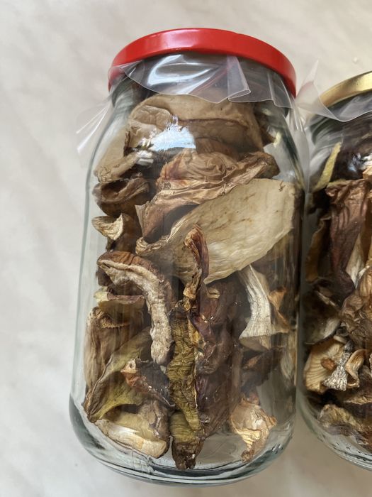 Grzyby suszone - jeden zostal