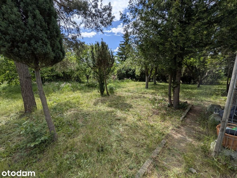 Działka ROD 656 m² (domek do rozbiórki) + Sprzęt GRATIS! (REZERWACJA) - Widok 6