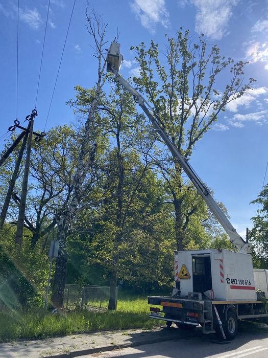 Wycinka drzew trudnych, niebezpiecznych