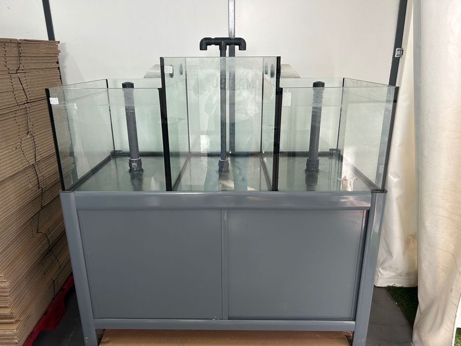 Aquário de Ilha cinza