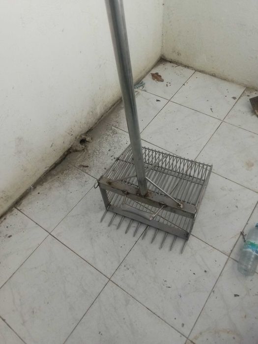 gachourra arrasto manual 10 dentes bivalves