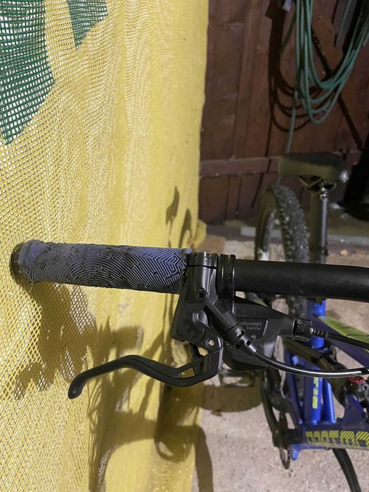 Dartmoor Blackbird Junior 2022