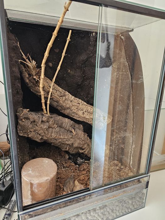 Terrarium 60x40x40 wodospad