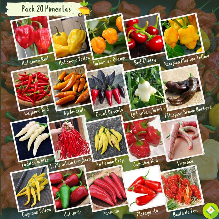 Pack/kit 20 variedades de pimentas raras (sementes)