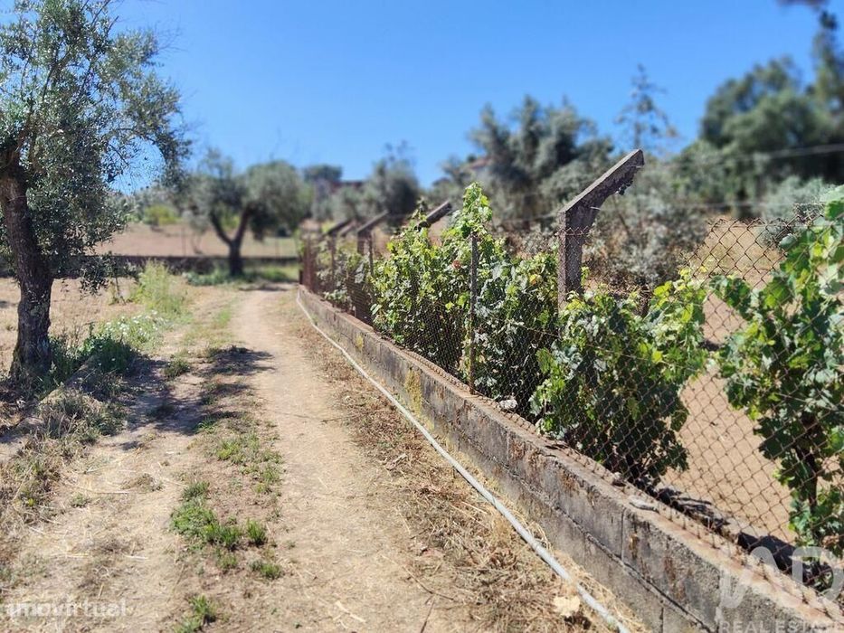 Terreno em Castelo