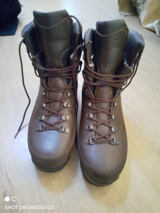 Продам Британські берци