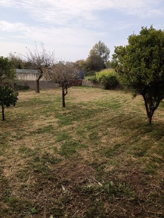 Jardinagem e multisserviços