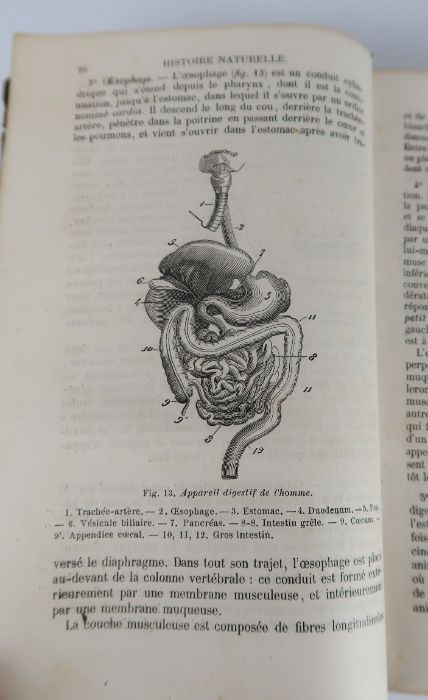 Histoire naturelle by LANGLEBERT (J) - 1880