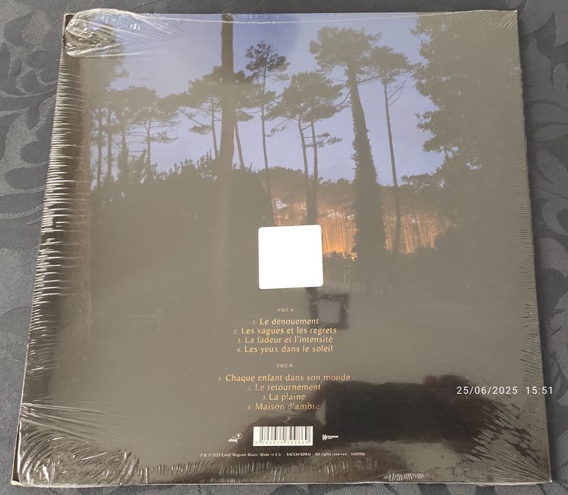 Dominique A. - Reflets Du Monde Lointain LP