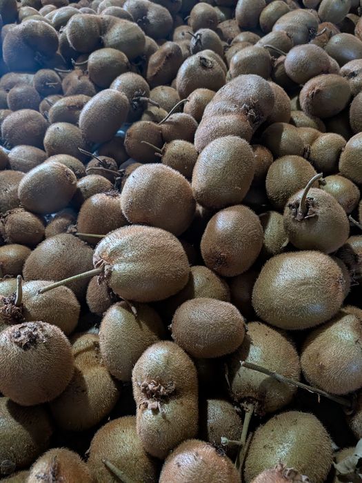 Kiwis a 1€/kg de bom calibre