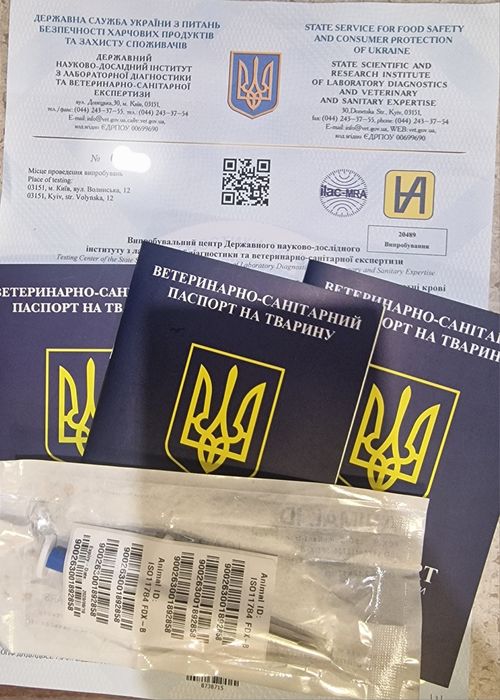 Документи на тварин для виїзду за кордон