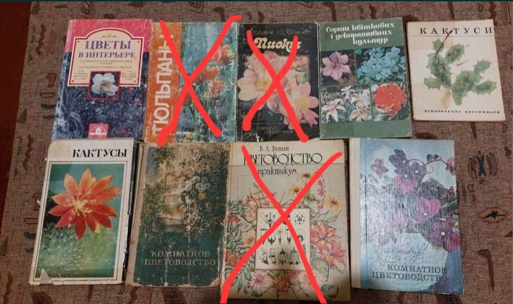 Комнатное цветоводство. Квітництво, кактуси. Сорти квіткових культур.
