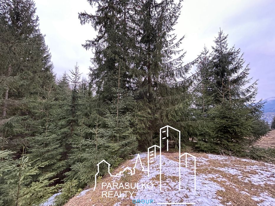 Продам земельну мальовничу ділянку в Карпатах