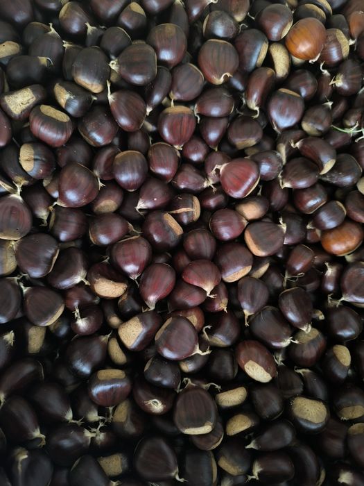 Castanhas caseiras