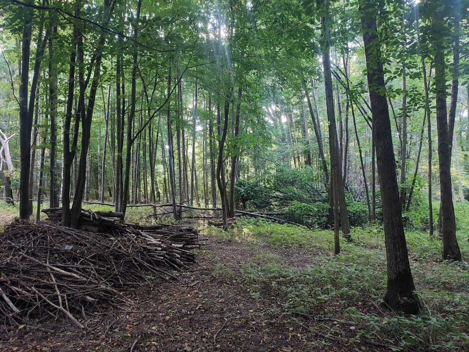 Leśny młyn pod Radunią 4,11 ha