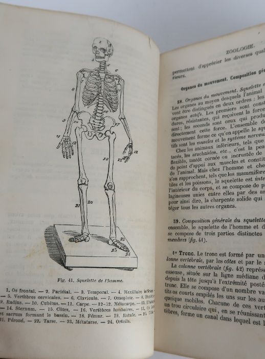 Histoire naturelle by LANGLEBERT (J) - 1880