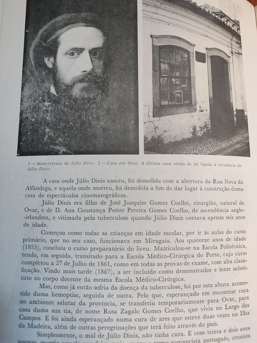Dicionário de literatura portuguesa (4 volumes)