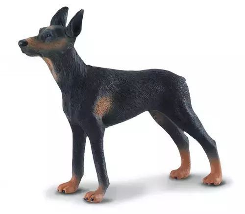Pies doberman L. Collecta. Nowy Produkt