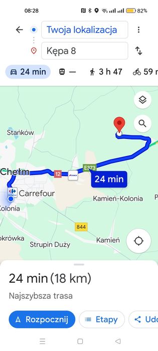 Choinki świerk srebrny