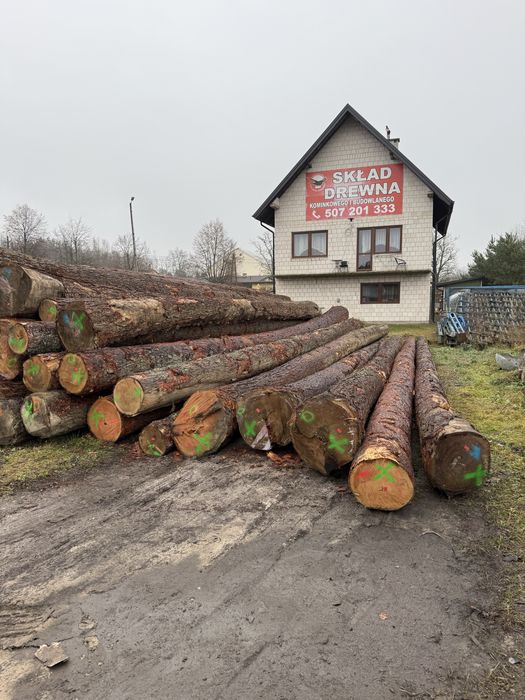 Drewno Modrzew tartaczny