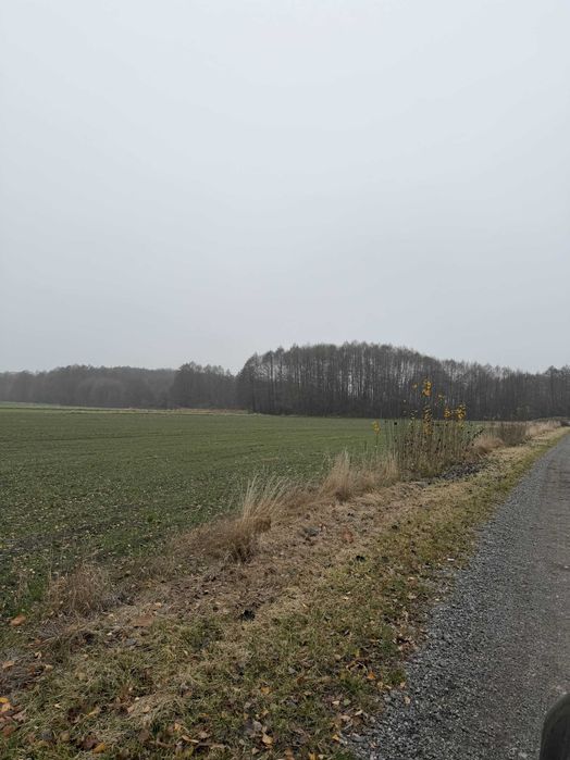 Sprzedam działkę rolno/budowlaną