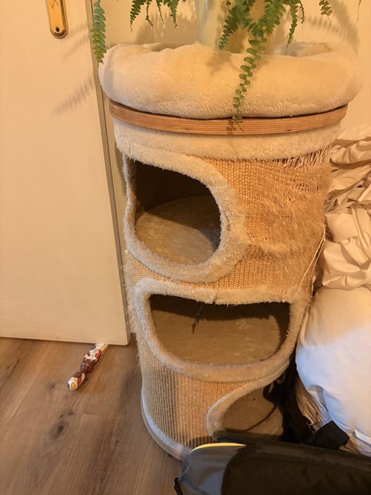 Arranhador para gatos 3 pisos usado casinha valor simbólico