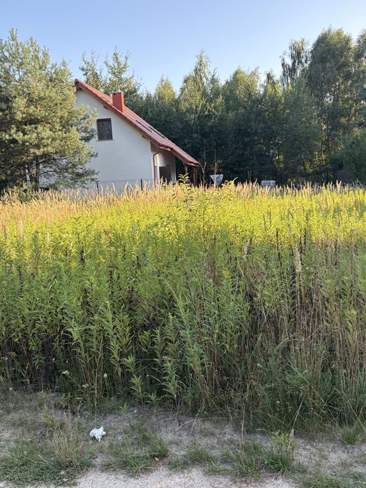 Zdjęcie 6