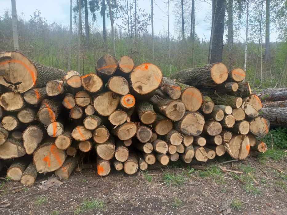 Drewno kominkowe I opałowe