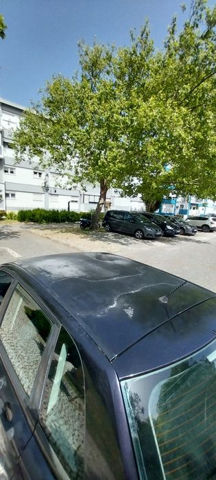 Para venda Fiat Stilo 16v