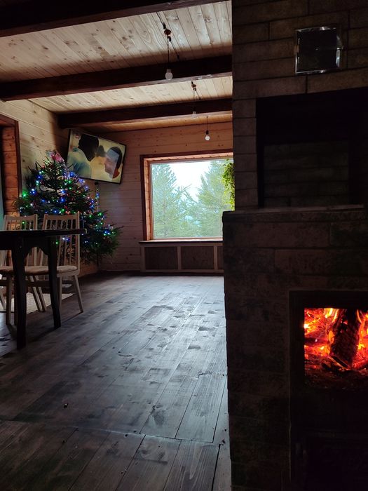 Відпочинок, котедж в Карпатах