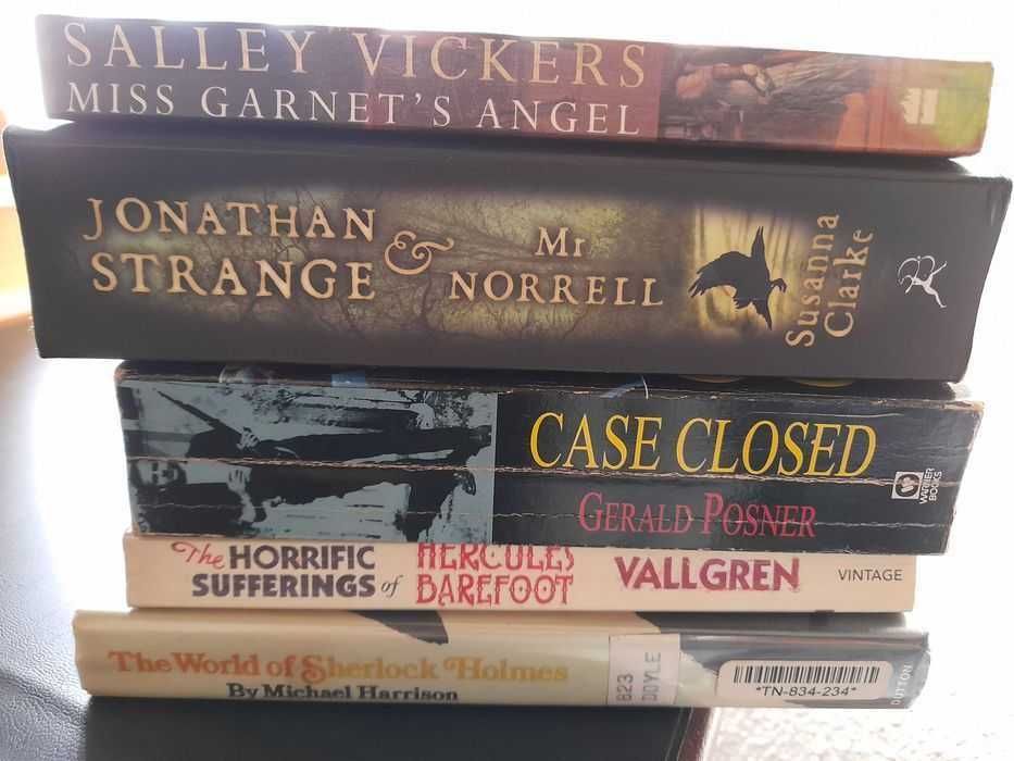 Lote 35 livros inglês literatura + ofertas