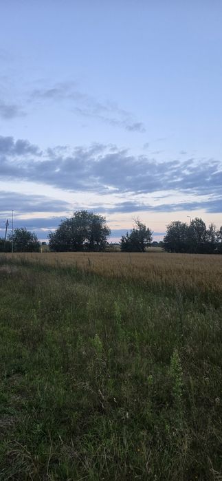 Sprzedam działke w Borzytuchomiu