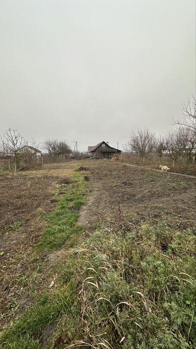 Здам окремий будинок с. Новосілки поруч Княжичі Музичі