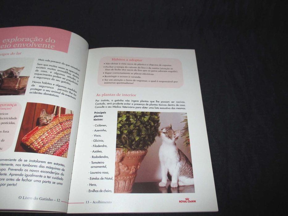 O Livro do Gatinho