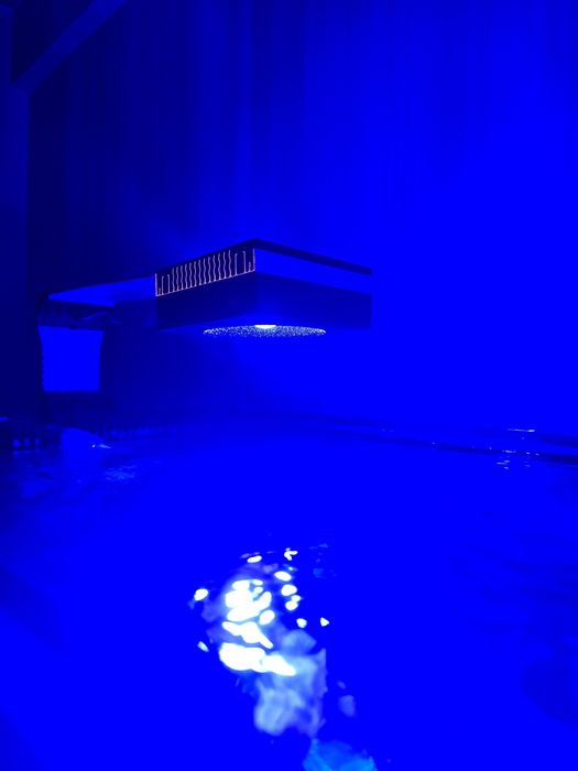 Iluminação aquario marinho